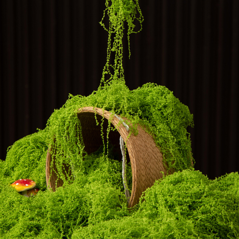 Bonsai Garden Mini - 200g Eternal Life Moss DIY Crafts
