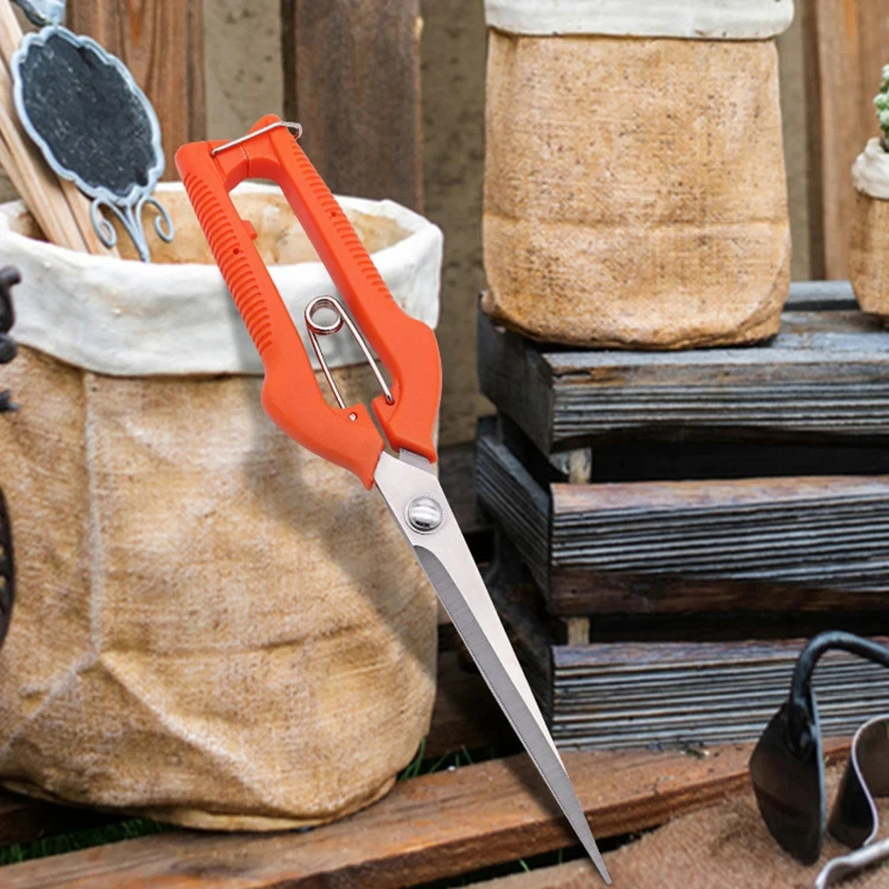 Multi-Purpose Pruning Scissors - đánh giá và giá Bonsai Garden Knife