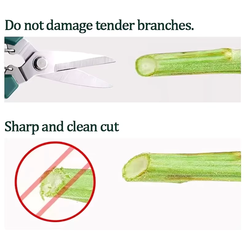 190mm Straight Head Pruning Sh - đánh giá và giá Bonsai Garden Knife