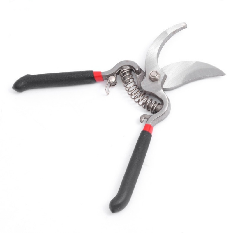 Pruner Garden Scissors Graftin - đánh giá và giá Bonsai Garden Knife