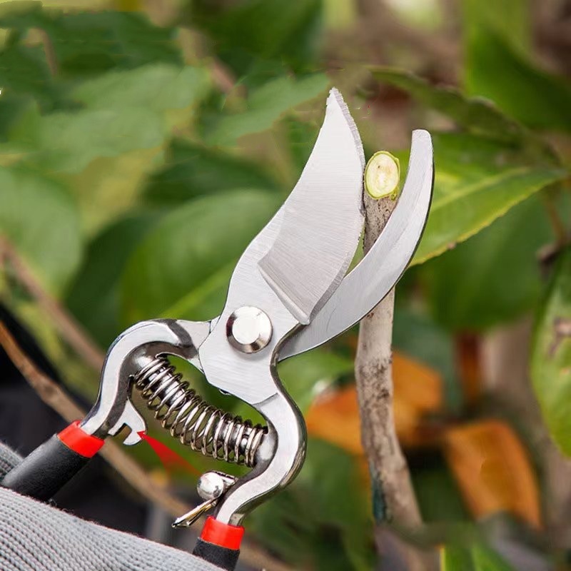 Pruner Garden Scissors Graftin - đánh giá và giá Bonsai Garden Knife