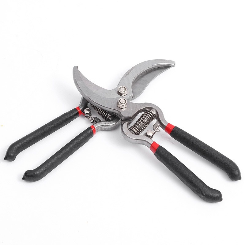 Pruner Garden Scissors Graftin - đánh giá và giá Bonsai Garden Knife