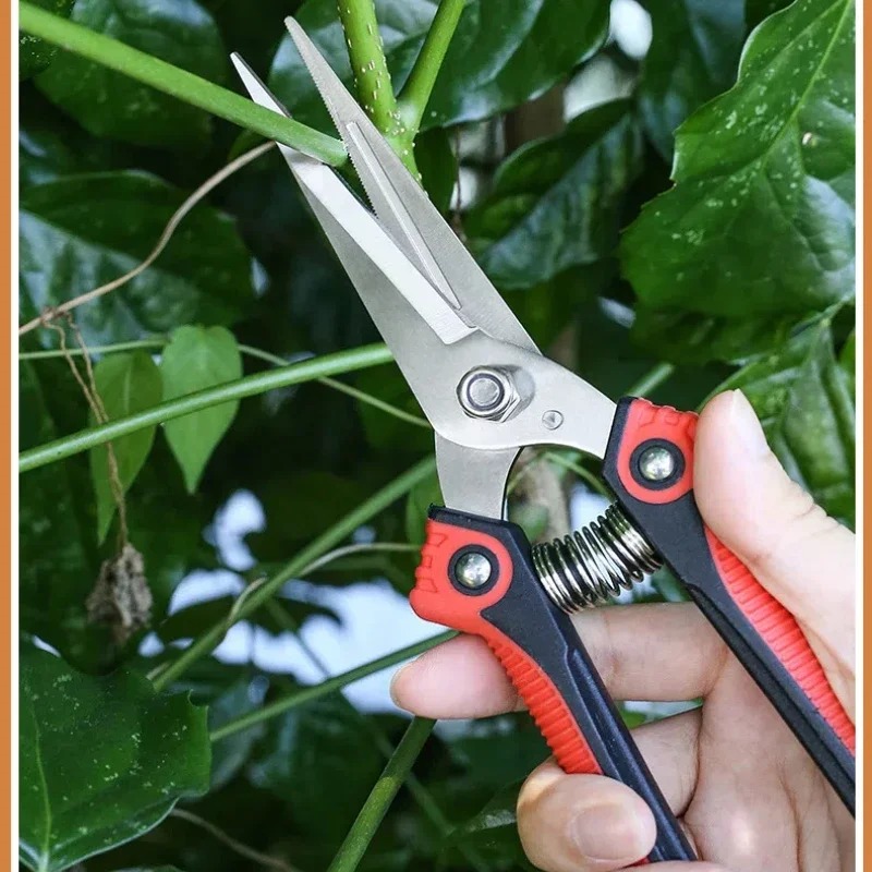 NEWSHARK Stainless Steel Pruni - đánh giá và giá Bonsai Garden Knife