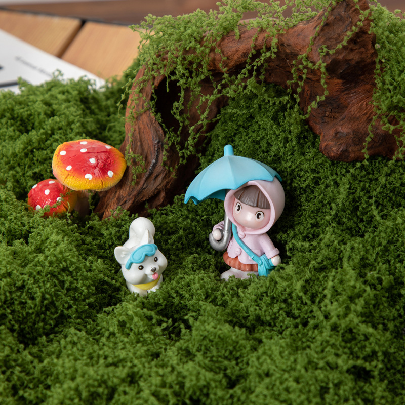 200g Eternal Life Moss DIY Cra - đánh giá và giá Bonsai Garden Mini