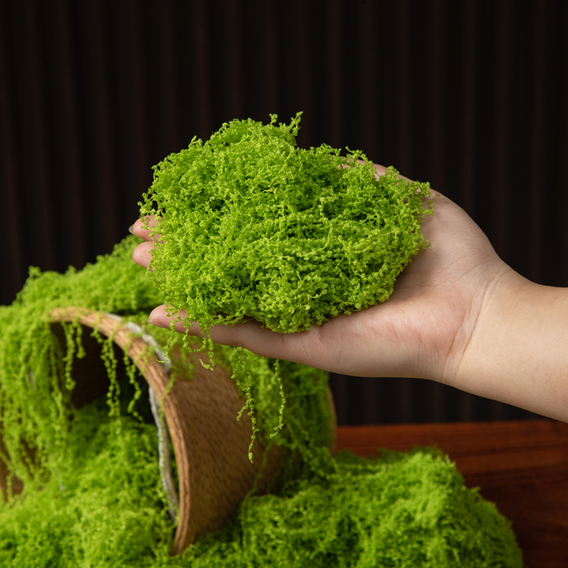 200g Eternal Life Moss DIY Cra - đánh giá và giá Bonsai Garden Mini