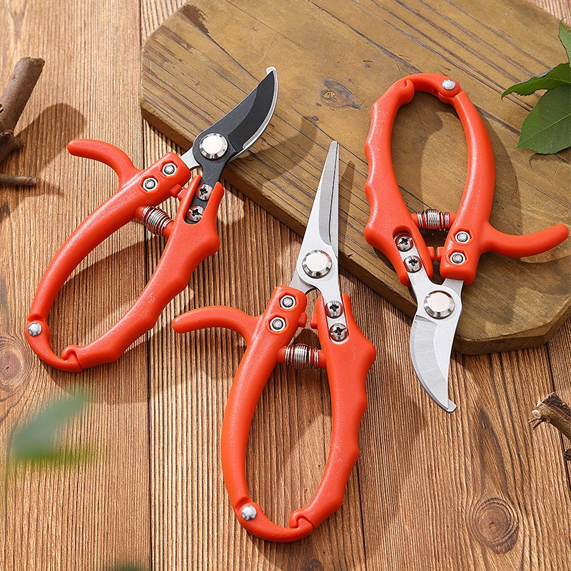 Gardening Branch Scissors Frui - đánh giá và giá Bonsai Garden Knife