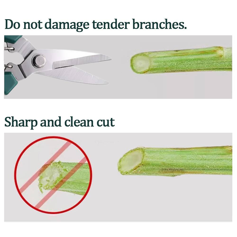 190mm Garden Pruning Shears fo - đánh giá và giá Bonsai Garden Knife