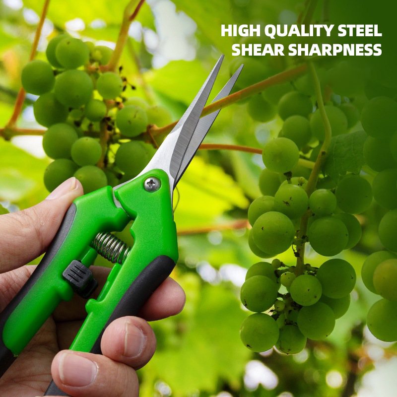 AIRAJ 7Inch Scissors for Pruni - đánh giá và giá Bonsai Garden Knife
