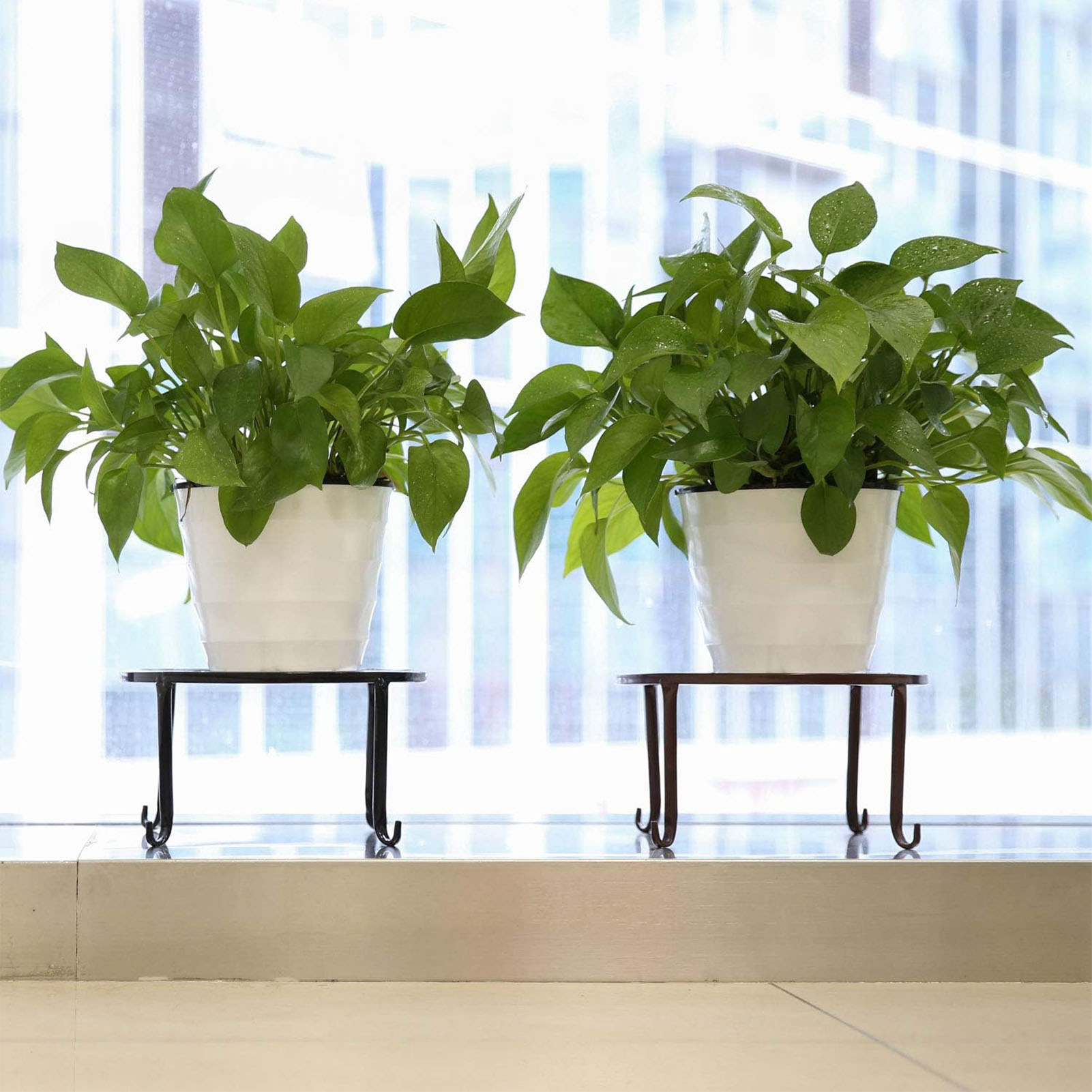 1Pc Metal Plant Stand Flower P - đánh giá và giá Bonsai Garden Display Stands