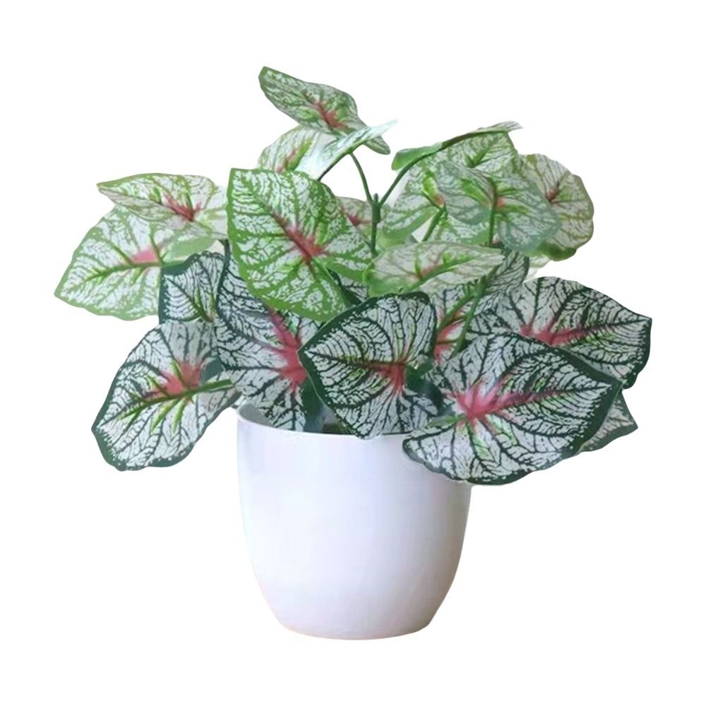 Mini Fake Potted Flowers Bonsa - đánh giá và giá Bonsai Garden Mini