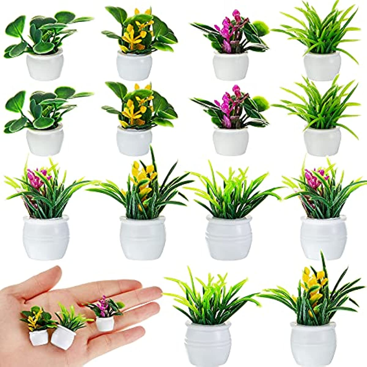 Dollhouse Plant, Miniature Bon - đánh giá và giá Bonsai Garden Mini
