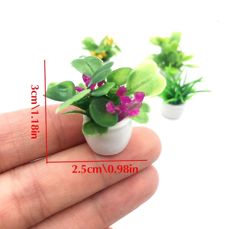 Dollhouse Plant, Miniature Bon - đánh giá và giá Bonsai Garden Mini