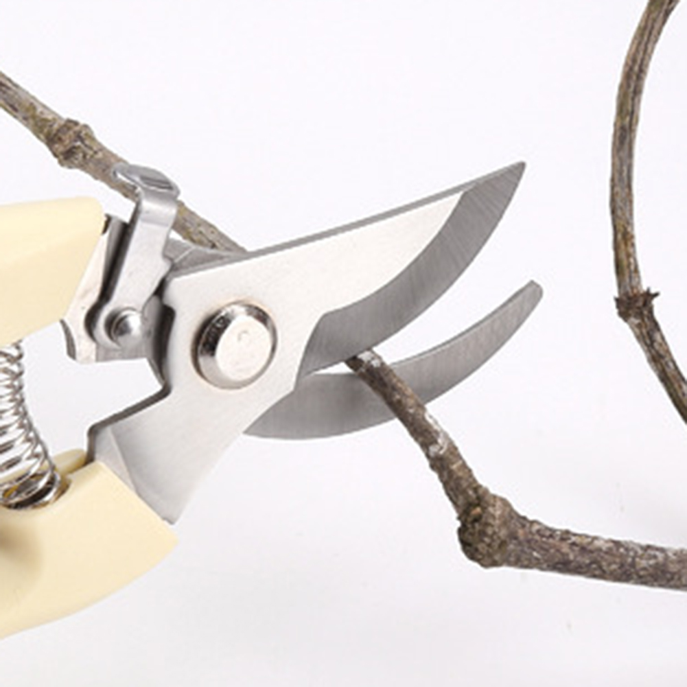 Pruner Shears Hand Tools Bonsa - đánh giá và giá Bonsai Garden Knife