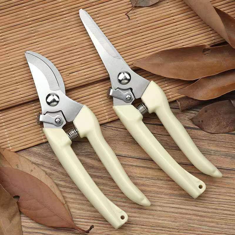 Stainless Steel Garden Pruning - đánh giá và giá Bonsai Garden Knife