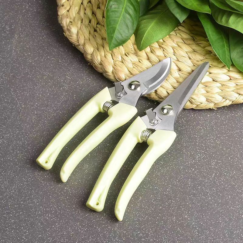 Stainless Steel Garden Pruning - đánh giá và giá Bonsai Garden Knife