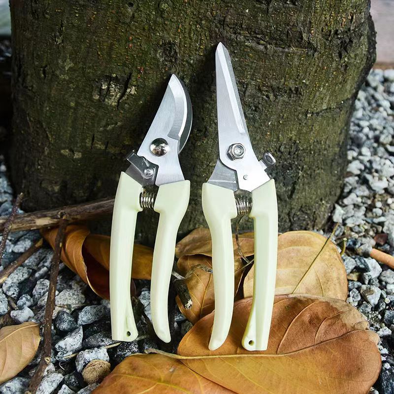 Stainless Steel Garden Pruning - đánh giá và giá Bonsai Garden Knife