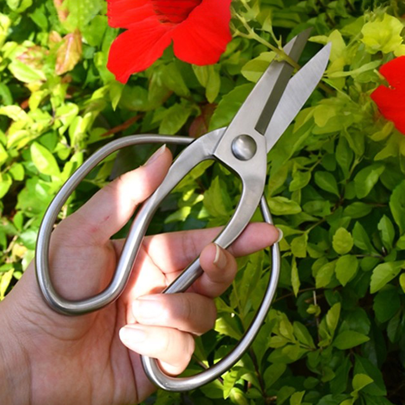 Stainless Steel Pruning Shears - đánh giá và giá Bonsai Garden Knife