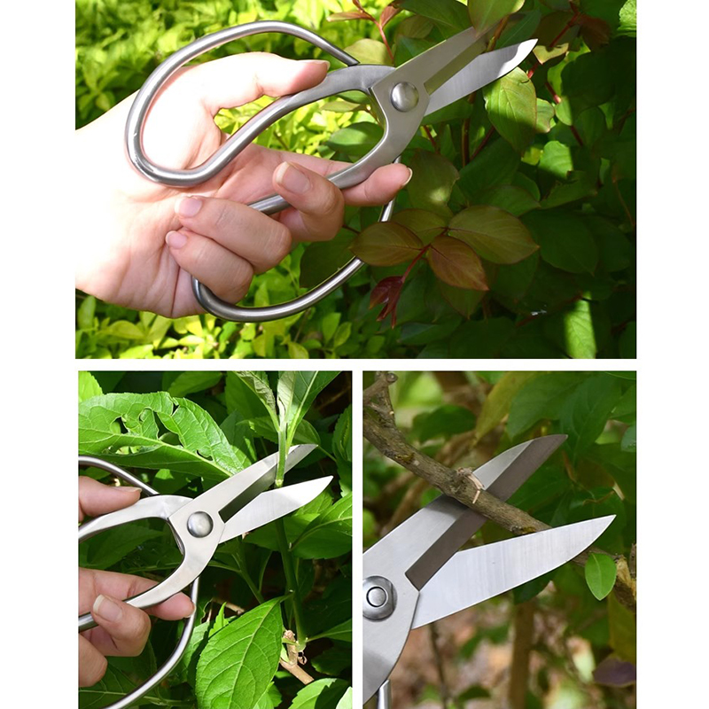 Stainless Steel Pruning Shears - đánh giá và giá Bonsai Garden Knife