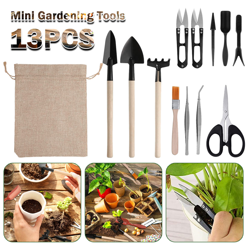 Succulent Plants Tools Mini Ga - đánh giá và giá Bonsai Garden Mini