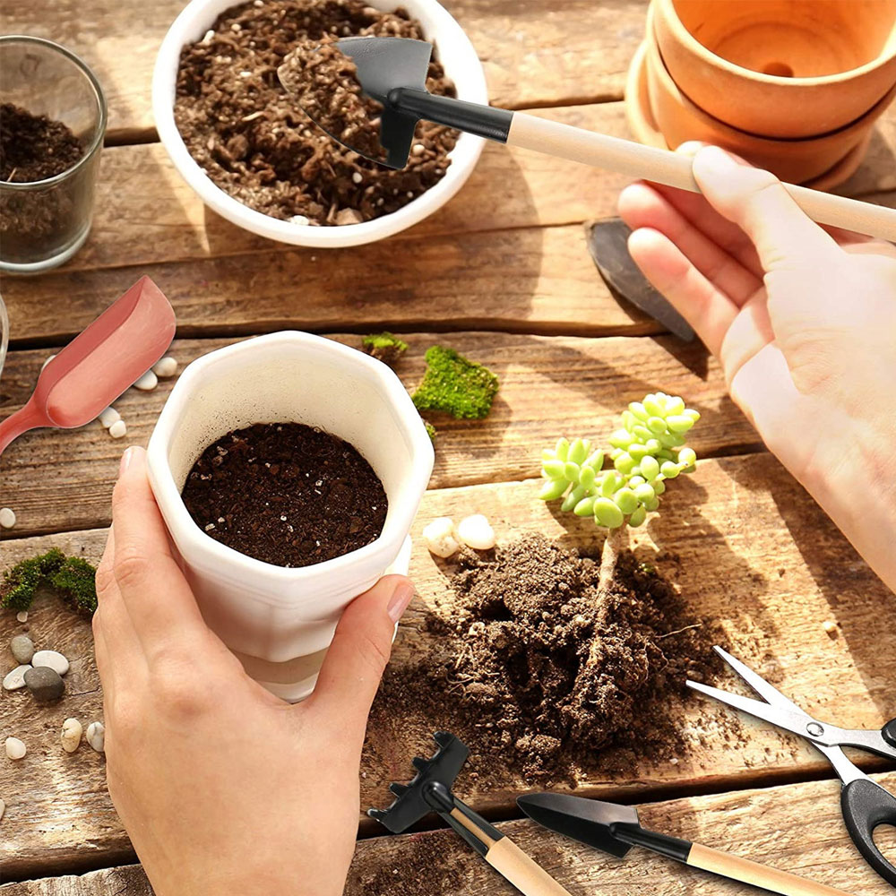 Succulent Plants Tools Mini Ga - đánh giá và giá Bonsai Garden Mini