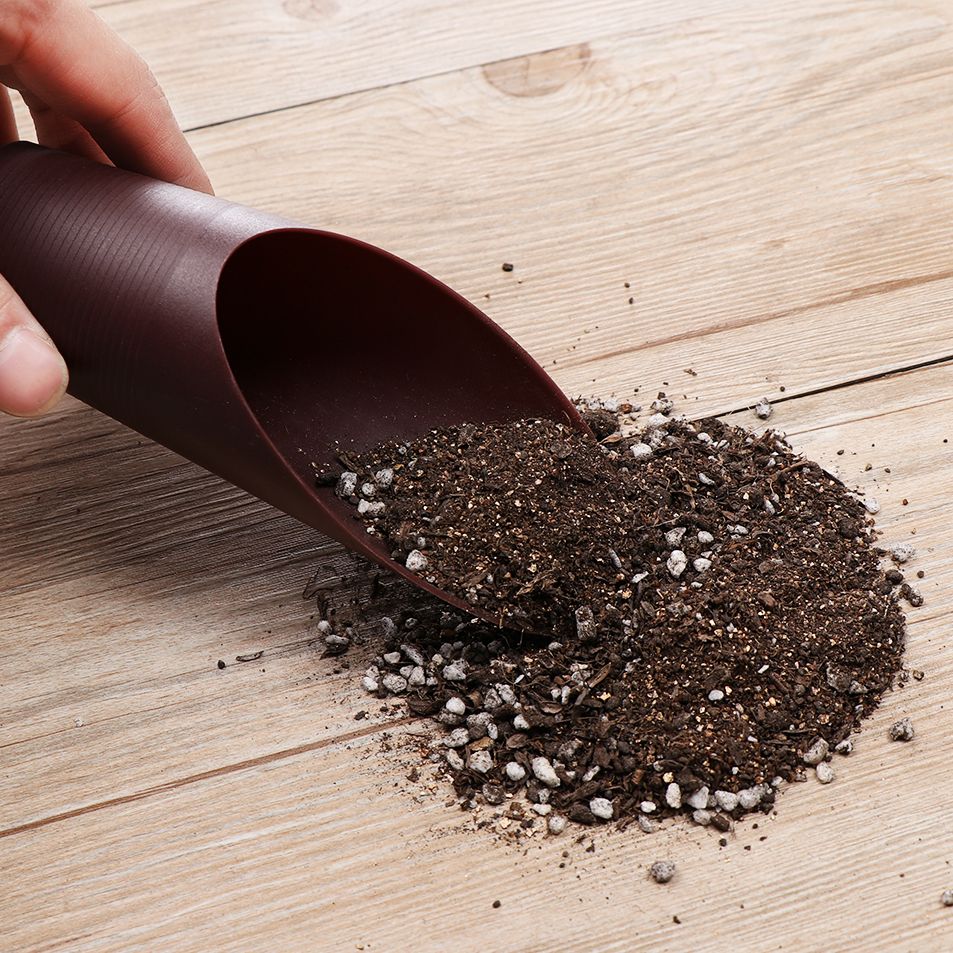 1PC Plastic Soil Shovel Cup Fo - đánh giá và giá Bonsai Garden Mini